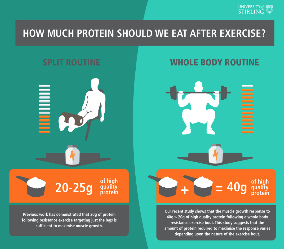 how much protein do you need post workout essential guide for optimal recovery