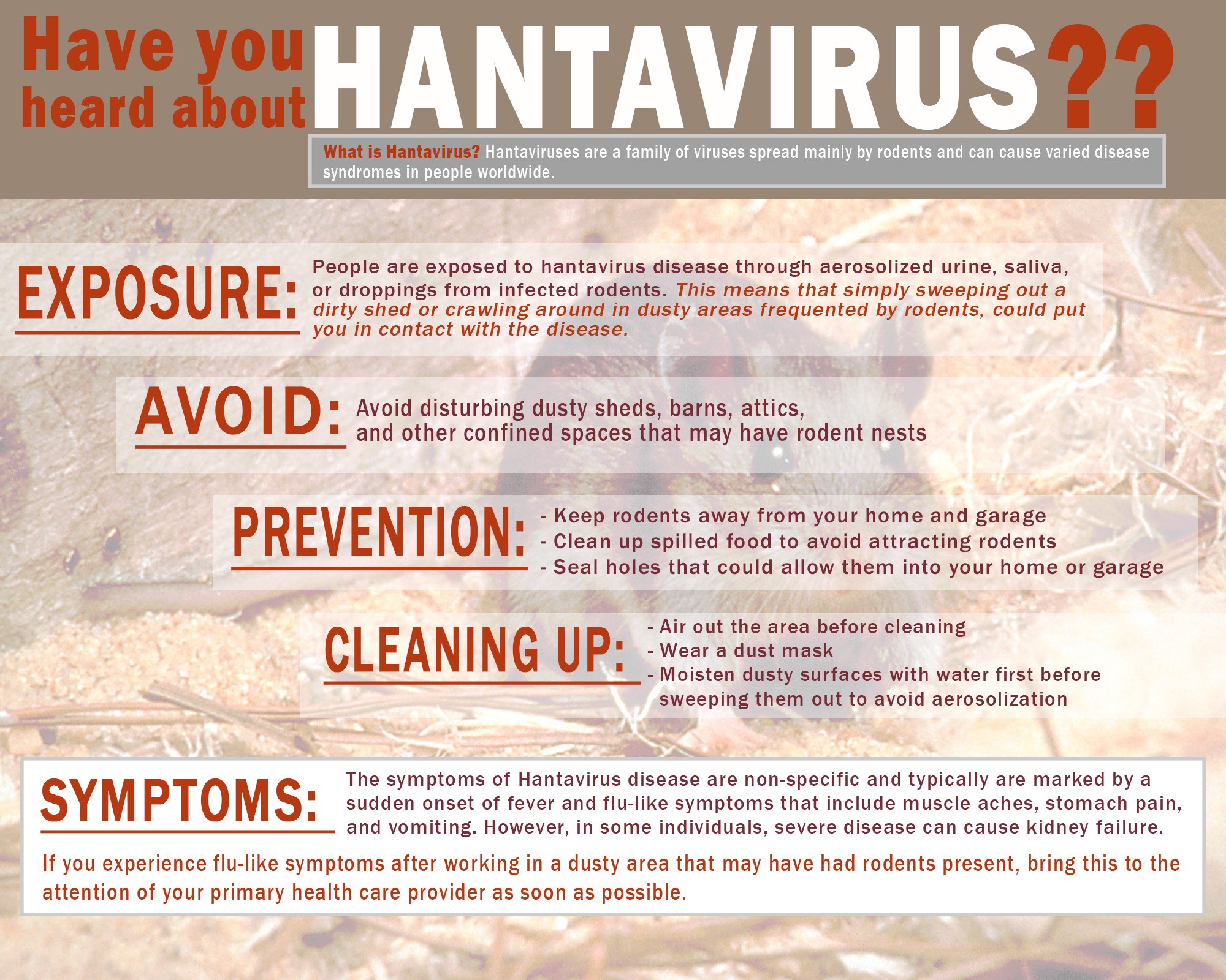 what are the first symptoms of hantavirus essential signs to watch for